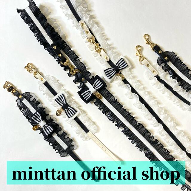 minttanߥȥܡåեܥء꡼ɥå(֥åۥ磻)֤ѡؤߤȤ