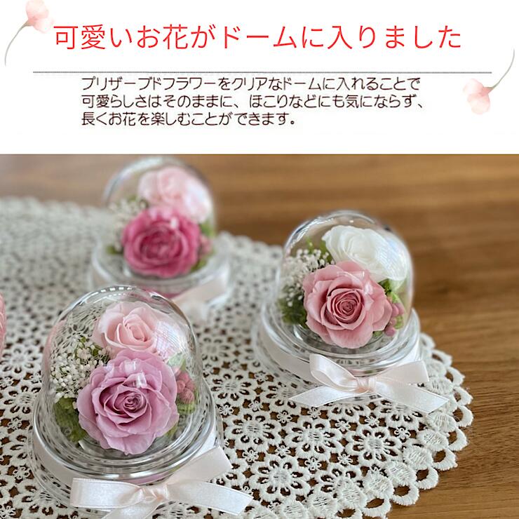 「プチローズ」 花ギフト プリザーブドフラワー 誕生日 プチギフト ホワイトデー 内祝い お祝い 結婚祝い お返し 内祝い 成人式 プレゼント 女性 2