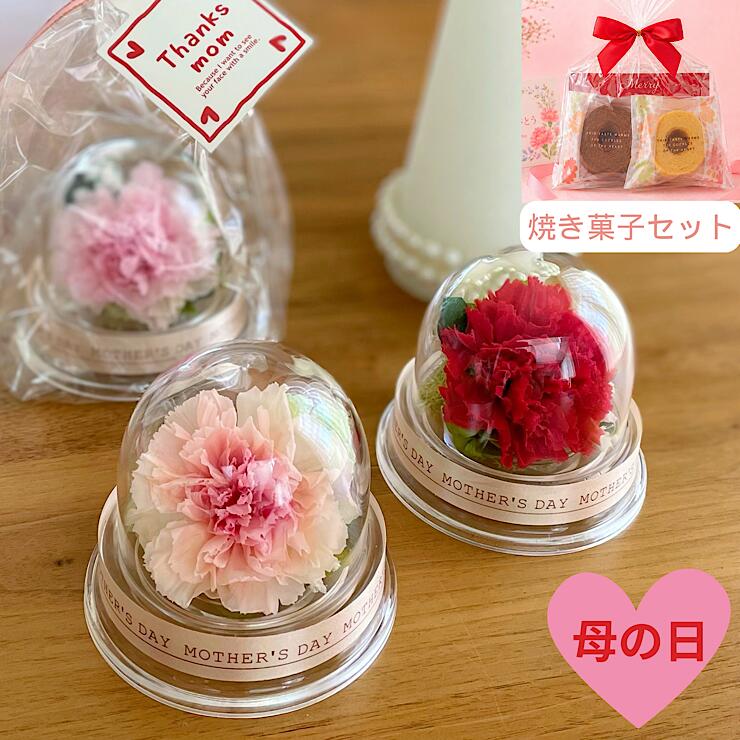 【母の日】 プチカーネーション 母の日ギフト 焼き菓子セットも プリザ...(4.0)