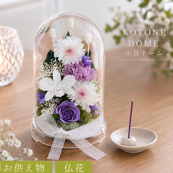 楽天市場】プリザーブドフラワー ドーム プラスチックの通販
