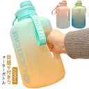 水筒 2.2リットル スポーツ スポーツボトル ストロー付き キッズ 大容量 直飲み 漏れ防止 おしゃれ 2L ジム ウォーターボトル タイムマーカー 運動 ヨガ 室内 室外 トレーニング スムージー シェイカー 夏 スポーツ水筒 便利 夏用 耐熱 洗いやすい