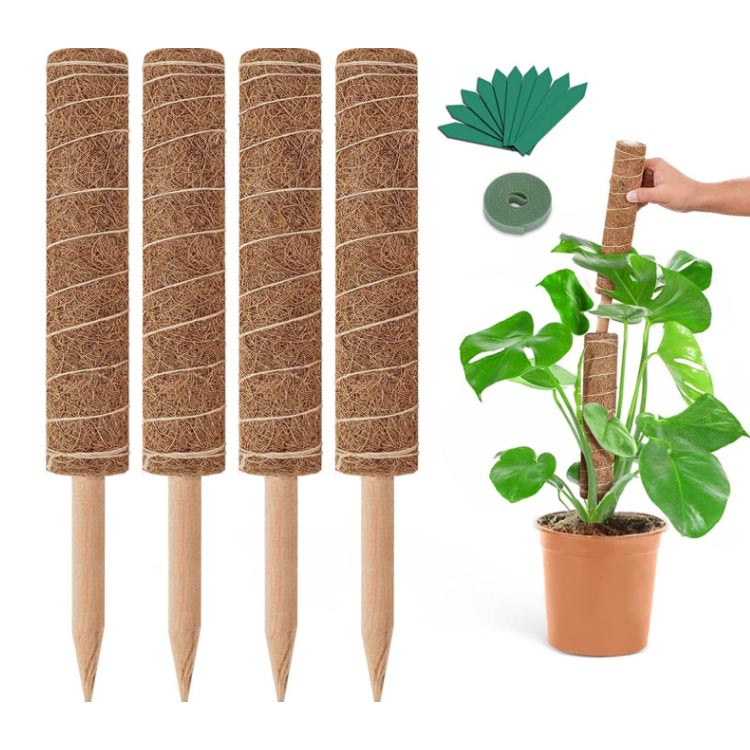 4点セット 園芸支柱 ココスティック 観葉植物 長さ30cm/40cm/50cm ココナッツ支柱 ...