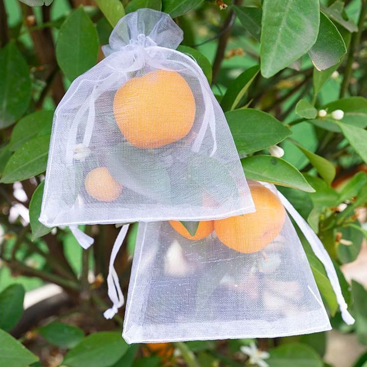 ���弰 ���ϥͥå� ����ͥå� ������ ��ƺ�� 100�祻�å� �̼��� �̼��� ��褱��Ļ�褱 ���ȥͥå� ��ݥͥå� �̼��ݸ� ��褱��Ļ�褱 ��Ļ�ͥå� ����ͥå� �ڱ��� ����� �ߤ���ͥå�