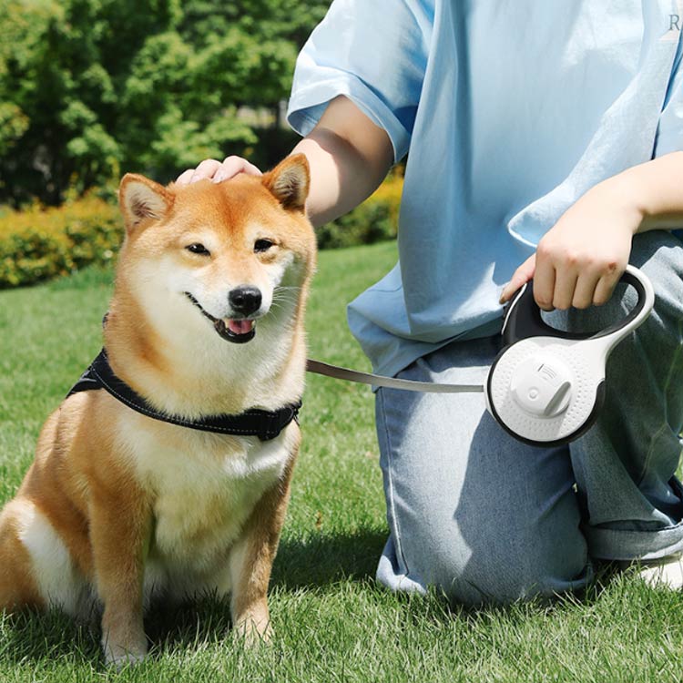 ライト付き 犬 リード 伸縮リード 5m 3m 犬用 led 光る ライト付 大型犬 中型犬 小型犬 ペット用品 散歩 長い ロング 反射 かわいい ストラップ LED照明 ロングリード ペット巻き取り式 ドッグリード 犬用リード 自動巻き 散歩用ライト付 フリー伸縮 ワンタッチ格納 mion0123-10004182 mion サンプル画像2