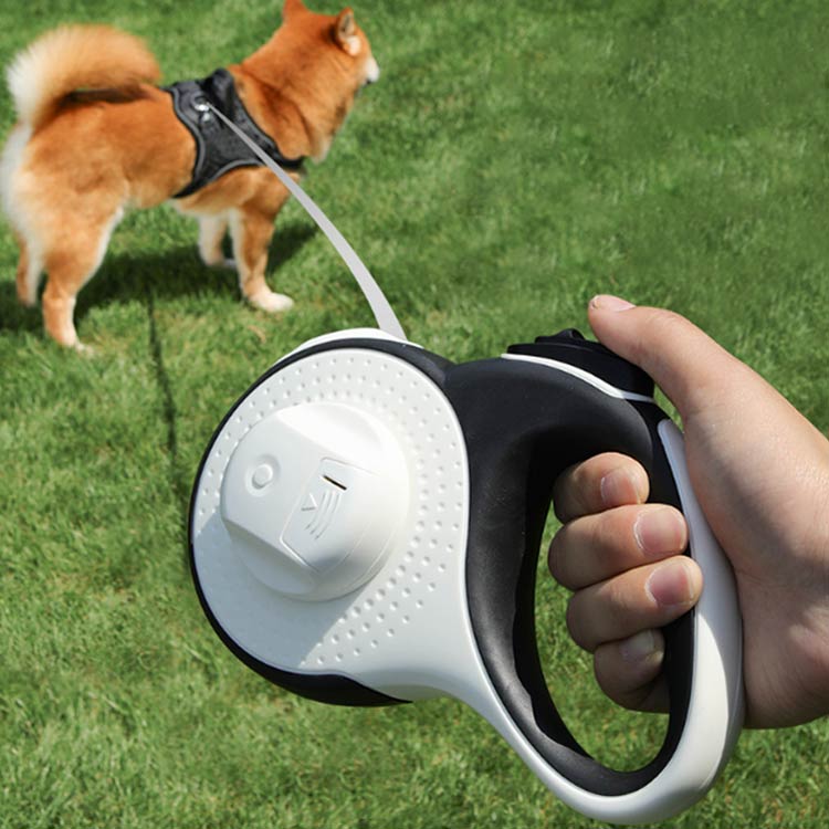 ライト付き 犬 リード 伸縮リード 5m 3m 犬用 led 光る ライト付 大型犬 中型犬 小型犬 ペット用品 散歩 長い ロング 反射 かわいい ストラップ LED照明 ロングリード ペット巻き取り式 ドッグリード 犬用リード 自動巻き 散歩用ライト付 フリー伸縮 ワンタッチ格納 mion0123-10004182 mion サンプル画像3