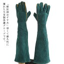 耐久性 猫 60cm 犬 害虫駆除 噛みつき防止 爬虫類 手袋 引っ掻き 獣医師おすすめ 爪切り 牛革 グローブ ガーデニング 除草作業 ペットグローブ BBQ
