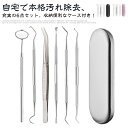 歯石取り プロ仕様 器具 歯石取り 歯垢 自分で取る スケーラー ヤニとり ステンレス製 歯石とり デンタルツール 歯石除去 先極細 口腔ケア器具 虫歯 口腔清潔 自宅用 送料無料 敬老の日 6点セット 歯科ツールセット