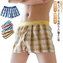 大きいサイズ 2枚セット トランクス 抗菌防臭 通気 肌着 下着 吸汗速乾 ボクサートランクス パンツ トランクス 前開き チェック 95%綿 ゆったり トラン...