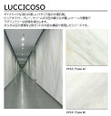 アイカ プラスワンダー LUCCICOSO 1枚入 4×8 0.95mm 1200×2400mm +WONDER メラミン化粧板 石目 抽象 STONE 【Type A | W-3152】【Type B | W-3153】【受注生産】