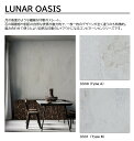 アイカ プラスワンダー LUNAR OASIS 1枚入 4×8 0.95mm 1200×2400mm +WONDER メラミン化粧板 石目 抽象 STONE 【...