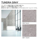 アイカ プラスワンダー TUNDRA GRAY 1枚入 4×8 0.95mm 1200×2400mm +WONDER メラミン化粧板 石目 抽象 STONE コンビネーションシリーズ1 【Type A | W-3286KN74】【Type B | W-3287KN74】【受注生産】