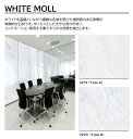 アイカ プラスワンダー WHITE MOLL 1枚入 4×8 0.95mm 1200×2400mm +WONDER メラミン化粧板 石目 抽象 STONE コンビネーションシリーズ1 【Type A | W-3219】【Type B | W-3220】【受注生産】