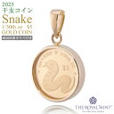 純金1/20オンス Snake 干支 巳 へび 蛇 コイン 金貨 両面保護ガラス ペンダントトップ 2025年限定 1100年の歴史ある英国王立造幣局製造品質保...