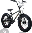 Discovery Adventures (ディスカバリー アドベンチャーズ) ファットバイク Fat City Cruiser BMX 自転車 シティ ビーチクルーザー フリースタイル 街乗り 20