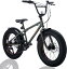 Discovery Adventures (ディスカバリー アドベンチャーズ) ファットバイク Fat City Cruiser BMX 自転..