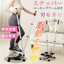 【当日発送可能】ステッパー ハンドル付き ツイストステッパー ステップ運動 健康器具 美脚 足踏み 健康ステッパー ダイエット 静音 高齢者 運動器具 室内 ステップ トレーニング 有酸素運動 エクササイズ 踏み台昇降 ウエストダイエット 2年保証(4)