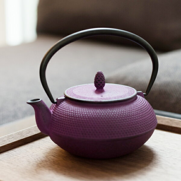 南部鉄器 急須 TEAPOT 霰 ARARE 0.6L ティーポット ロジアソシエイツ 北欧雑貨 キッチン雑貨 インテリア雑貨 おしゃれ 日本製 4色 和色 やかん ケトル モダン 和食器 南部小鉄瓶 兼用瓶 カラフル 北欧 インテリア 雑貨 roji RA 50-20 TU WHG NPR RP 売れ筋 MIRAGE-STYLE