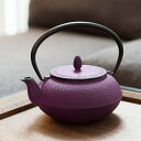 南部鉄器 急須 TEAPOT 霰 ARARE 0.6L ティ