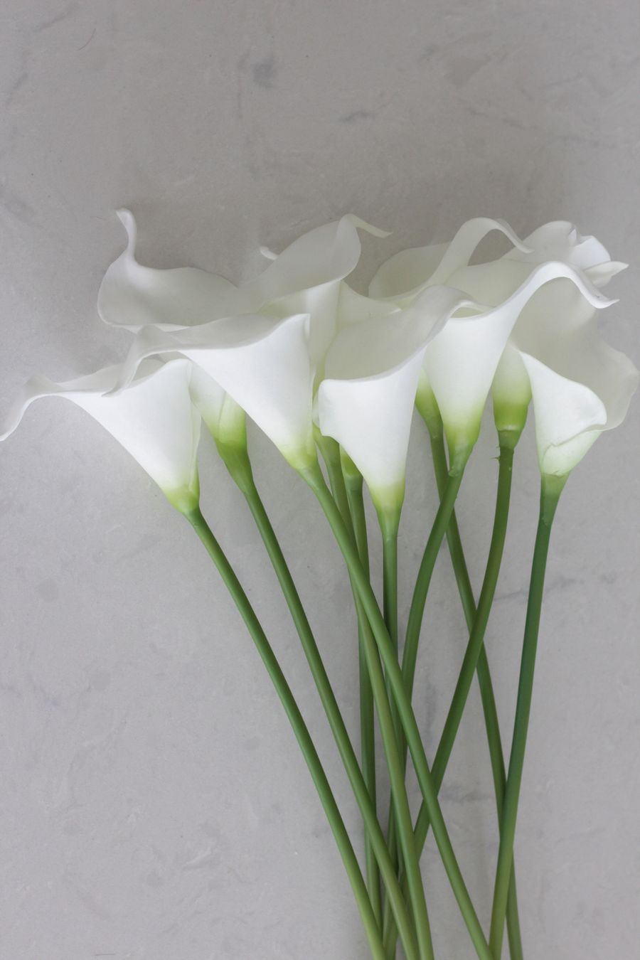 ���顼��ꥣ �ۥ磻�� 10��ñ�� ��� ��� �����ƥ��ե������ե� ��������å��� �����ȥե� �ե������ե� �ե�����󥸥�� ����ƥꥢ �� �ե� ���꡼�� �̲����� ���� ������� ����� �İ��� ���襤�� ¤�� �֡���