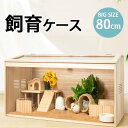 【リニューアル！新入荷！】飼育ケース80cm 飼育ケース 飼育ケージ 大型ケージ ケージ 前開き 上開き おしゃれ 組み立て式 アクリルケース 木 ハムスター 小動物 爬虫類 BIG 80cm PP00014