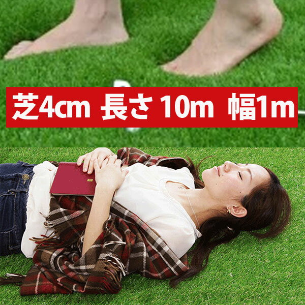 �ꥢ��͹���10m �ꥢ��ʥ�����͹��� �͹��� �ݥꥨ����� �ݥ�ץ��ԥ�� �����ڥå� Ĺ��10m����1m �Ǿ�4cm ����� ��������� �ѥ��� ���� ��...