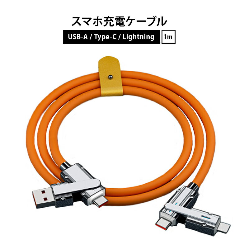 2in2 充電ケーブル PD100W 超高速充電対応 TypeC Lightning USB-A 多 ...
