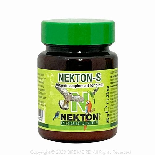 NEKTONͥȥ35ȯġ
