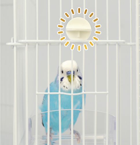 MIRAI-UPの【三晃商会】小鳥ケージ用パーツ　小鳥のスライドロック｜アングル2