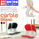 カーブルチェア グランド Curble chair Grand 骨盤 骨盤矯正 姿勢 サポートチェア 姿勢サポート 姿勢矯正 座椅子 姿勢補正 猫背 猫背矯正 腰 腰痛 肩こり 肩凝り ストレートネック 矯正 椅子 大人 イス チェア クッション オフィス用 デスクワーク サポート シート 前傾 在宅