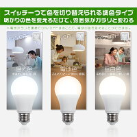 LED電球E26