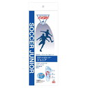 SORBO(ソルボ) DSISソルボサッカージュニア 2L P6JYA80122J2L ロイヤルブルー J2L(4)