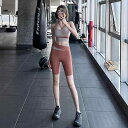 レディース 夏 フィットネス ヨガ 衣装 セット トレーニング パンツ ストレッチ 通気性 ランニング ピラティス スポーツブラ アウトドア