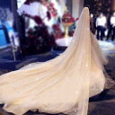 ウェディングベール ブライダル 結婚式 エレガント 花嫁 ロング メイン ドレス ベール フェアリー 写真 小道具 輝く 星空 ベール ロング 写真撮影 SNS映え 綺麗