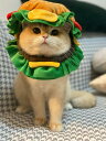 ドッグ ウェア ペット服 犬 猫 小型犬 チワワ ビション テディ 服 コスプレ 衣装 コスチューム 仮装 おもしろ ハロウィン