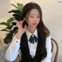 レディース アクセサリー 蝶 ネクタイ ボウタイ 首輪 フラワー プロ 銀行 ヘッド スーツ シャツ 服 ピン ホテル スチュワーデス ワーカー 装飾