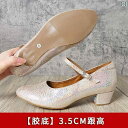 シューズ レディース 最上層 ソフト シープスキン 標準 ダンス 女性用 大人用 ラバーソール 社交 ダンス 標準 モダン ウイグル ダンス