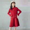 スカート 女の子 ガールズ スーツ 秋冬 韓国 厚手 セーター ベスト 中 大型 子供 長袖 ニット 2点 セット