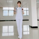 レディース 作業着 看護師 レディース 半袖 パンツ ナース ユニフォーム 技師 制服 クリニック ドクター 病院 女医 ペディキュア