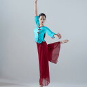 レディース ダンス ファッション 中国舞踊 服 レトロ 舞踊 フェアリー 練習 メッシュ トップス パフォーマンス スーツ