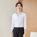 レディース 婦人服 オフィスレディ ワークウェア シャツ ブラウス 長袖 Vネック 秋 レイヤリング