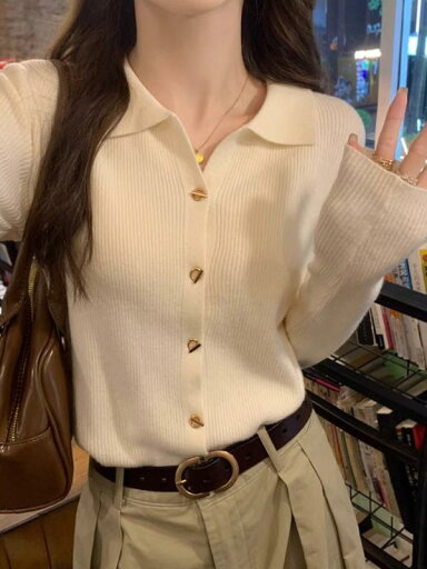 シャツ レディース 秋 冬 ニット インナー レイヤリング ハイエンド インナー レイヤリング ポロ セーター カーディガン シャツ レディース 秋 冬 ニット インナー レイヤリング ハイエンド インナー レイヤリング ポロ セーター カーディガン