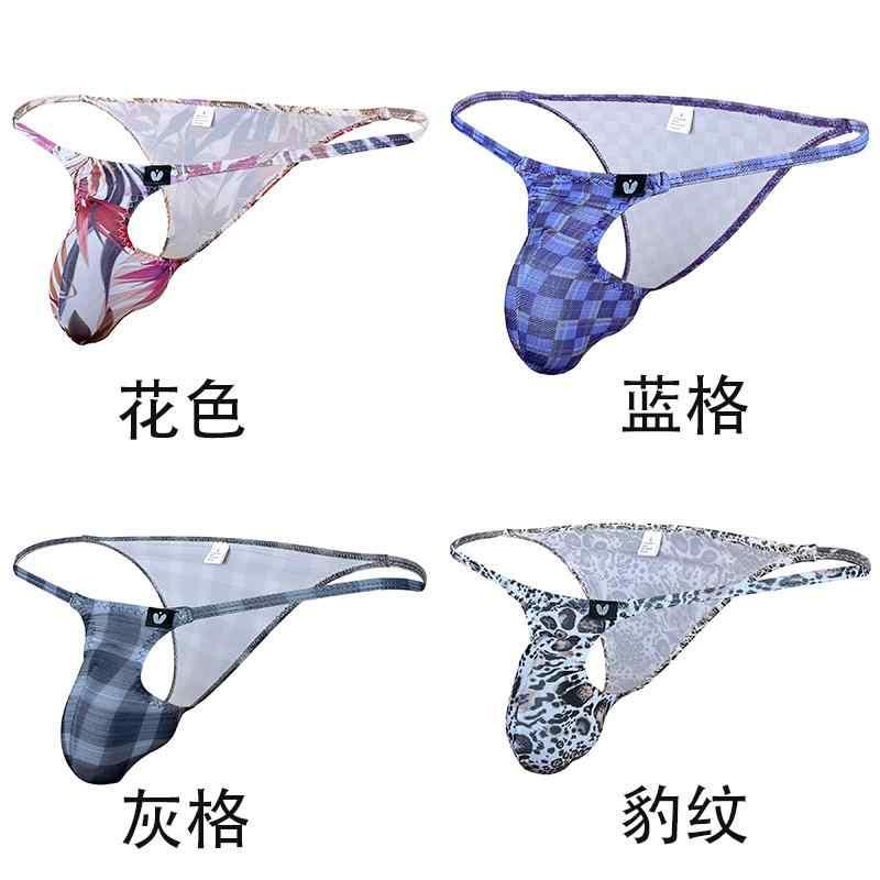  ֥꡼  ܥǥ 硼 ݡ ץ ե ̥Ū ӥ ֥꡼  å  ϡ...