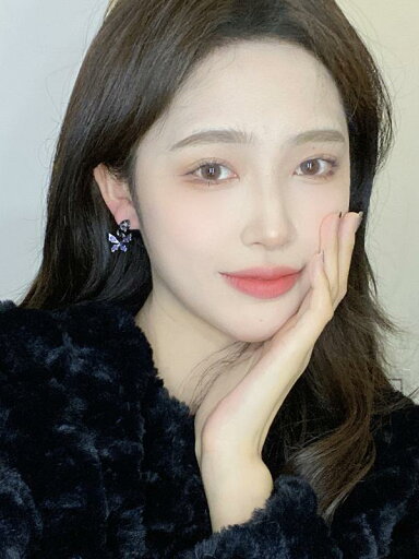アクセサリー レディース ピアス かわいい 女性 黒 蝶 イヤリング 個性的 イヤリング ハイエンド レトロ イヤリング アクセサリー レディース ピアス かわいい 女性 黒 蝶 イヤリング 個性的 イヤリング ハイエンド レトロ イヤリング