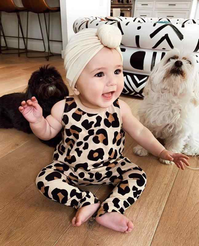 ٥ӡ ˹ Х󥭥å ̿ ץ   Ƭ إå ݸ  襤 Ļ ֤  ս  ...