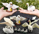 鳥 フィギュア 模型 人形 おもちゃ ホビー ガーデニング オーナメント 白鳥 動物 子供 ガチョウ 教育 コレクション インテリア ミニチュア プレゼント バード スワン 黒 白
