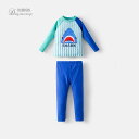 男の子 水着 スイムウエア キッズ ベビー ラッシュガード 子供 夏 子供 セパレート ベビー 長袖 日焼け防止 速乾 日焼け防止 水泳品 恐竜 海水浴 プール 水遊び(4)