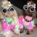 ペットグッズ 犬 サングラス メガネ 雑貨 かわいい 小物 装飾 室内 散歩 外出 ルーム 室外 春夏 小型