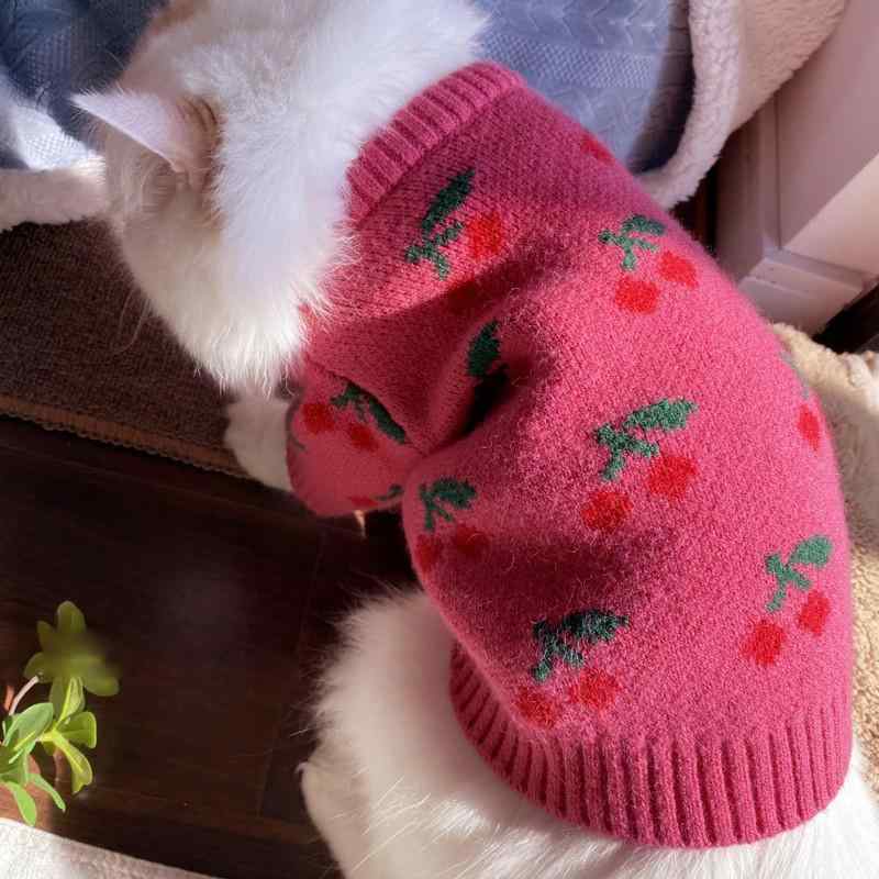ドッグ ウェア ペット服 犬 猫 小型犬 チワワ ビション テディ ポメラニアン 服 セーター ニット 秋冬 かわいい カジュアル 暖かい ピンク