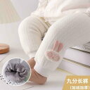 女の子 レギンス 裏起毛 厚手 起毛 秋冬 パンツ 赤ちゃん 保温性 韓国 子供 九分丈パンツ