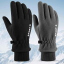 メンズ 冬 手袋 起毛 厚手 タッチスクリーン 登山 スキー 乗馬 オートバイ アウトドア 防風